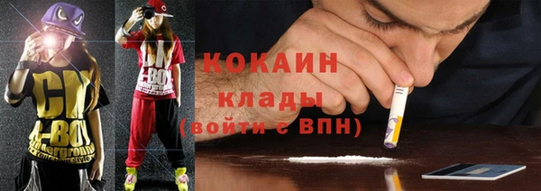 хмурый Алексин