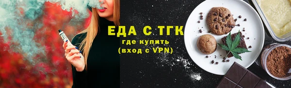 индика Алзамай