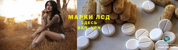 хмурый Алексин