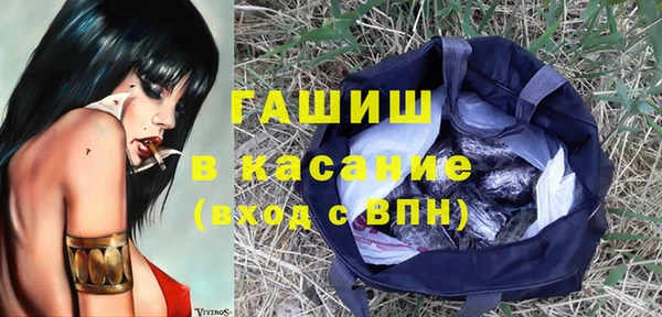 хмурый Алексин