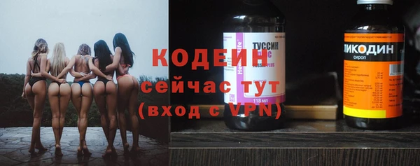 хмурый Алексин