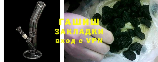 индика Алзамай