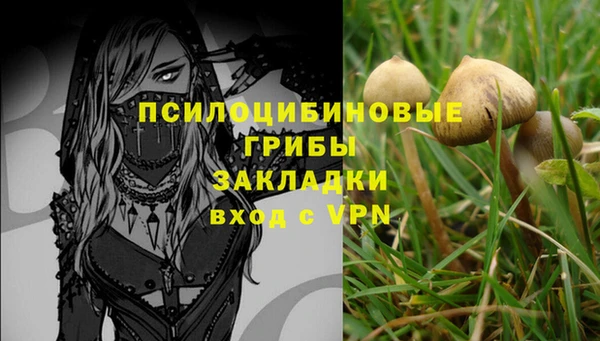 индика Алзамай