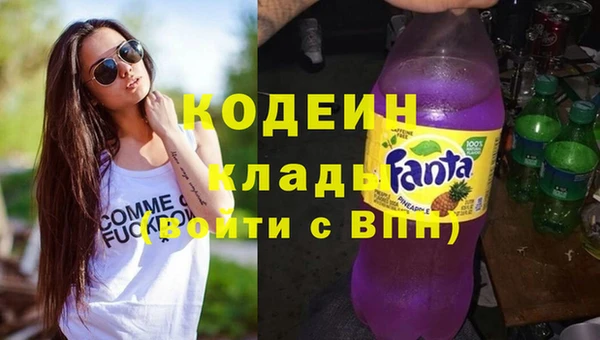индика Алзамай