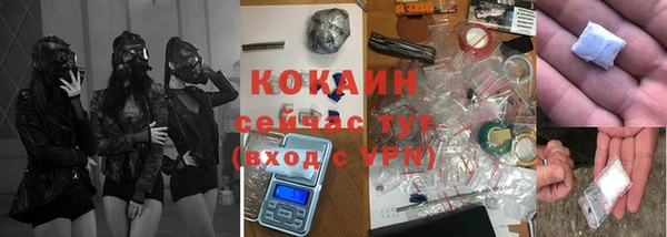 хмурый Алексин