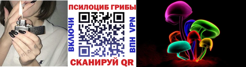 дарнет шоп  Абинск  Псилоцибиновые грибы Psilocybe 